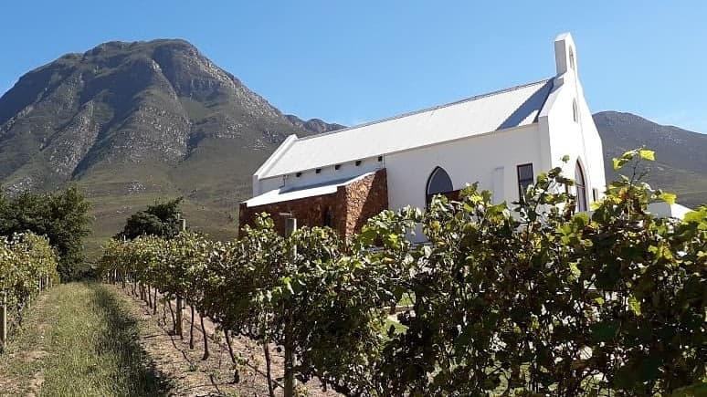 Self-Guided Wine Walk