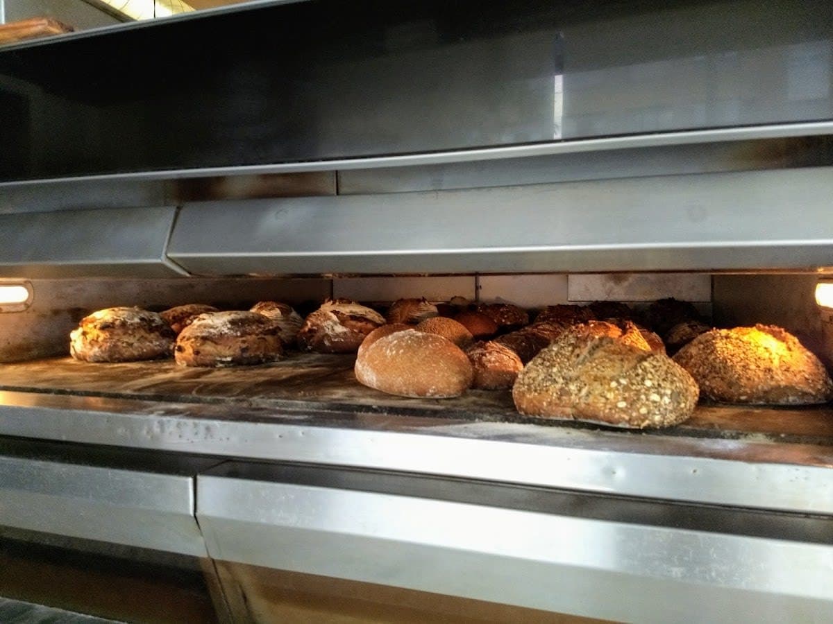 Catas de Quesos