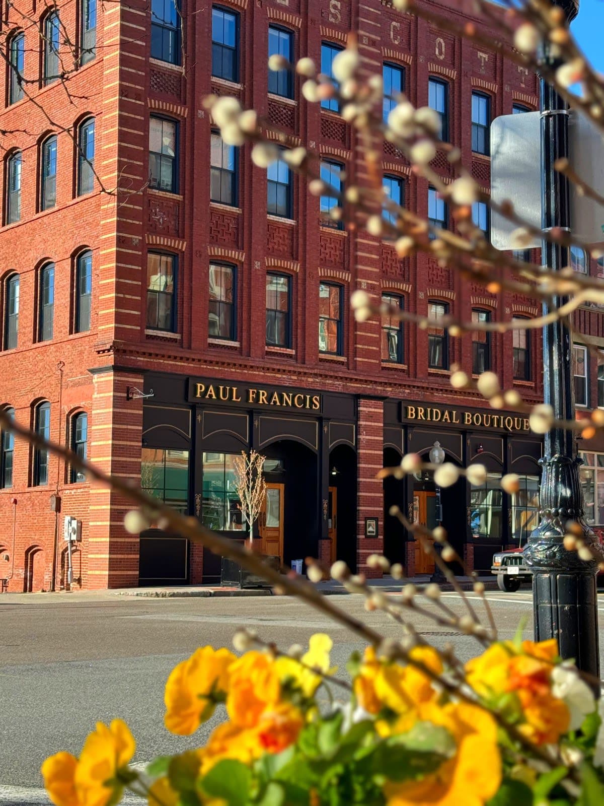 Paul Francis Bridal