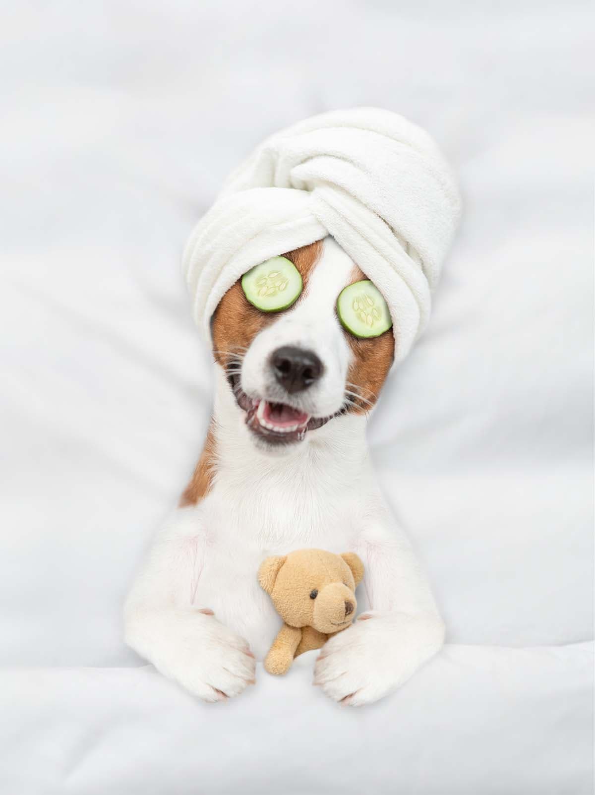 Nail Trim