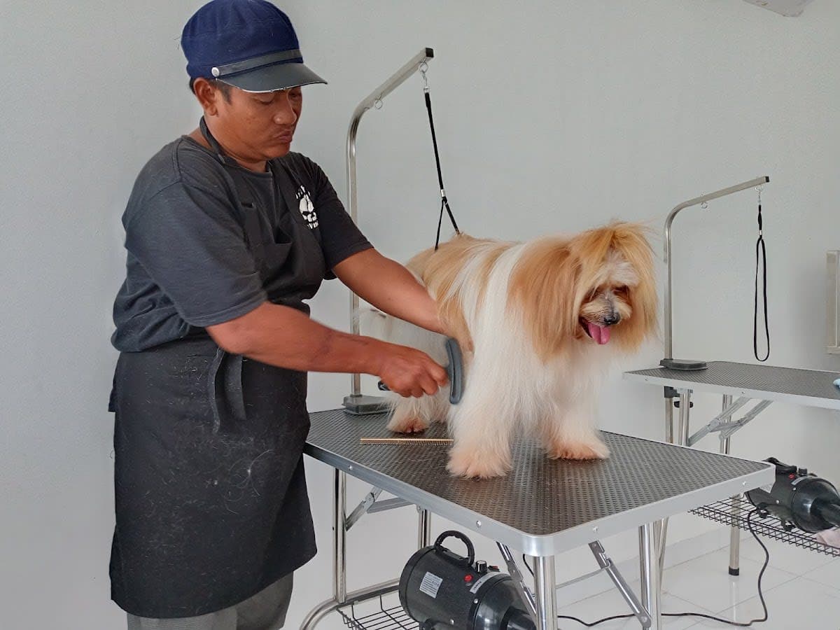 SPA dan Massage