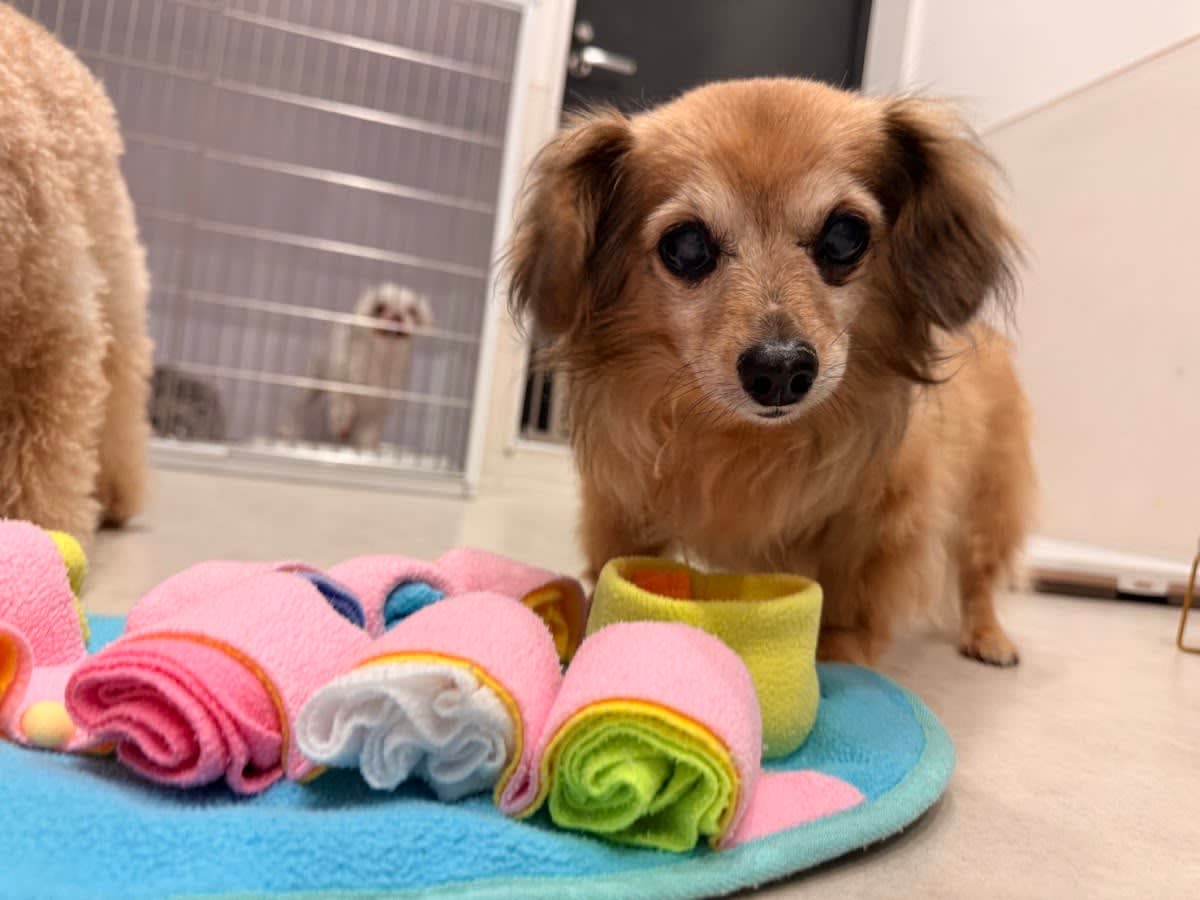 Nail Trim
