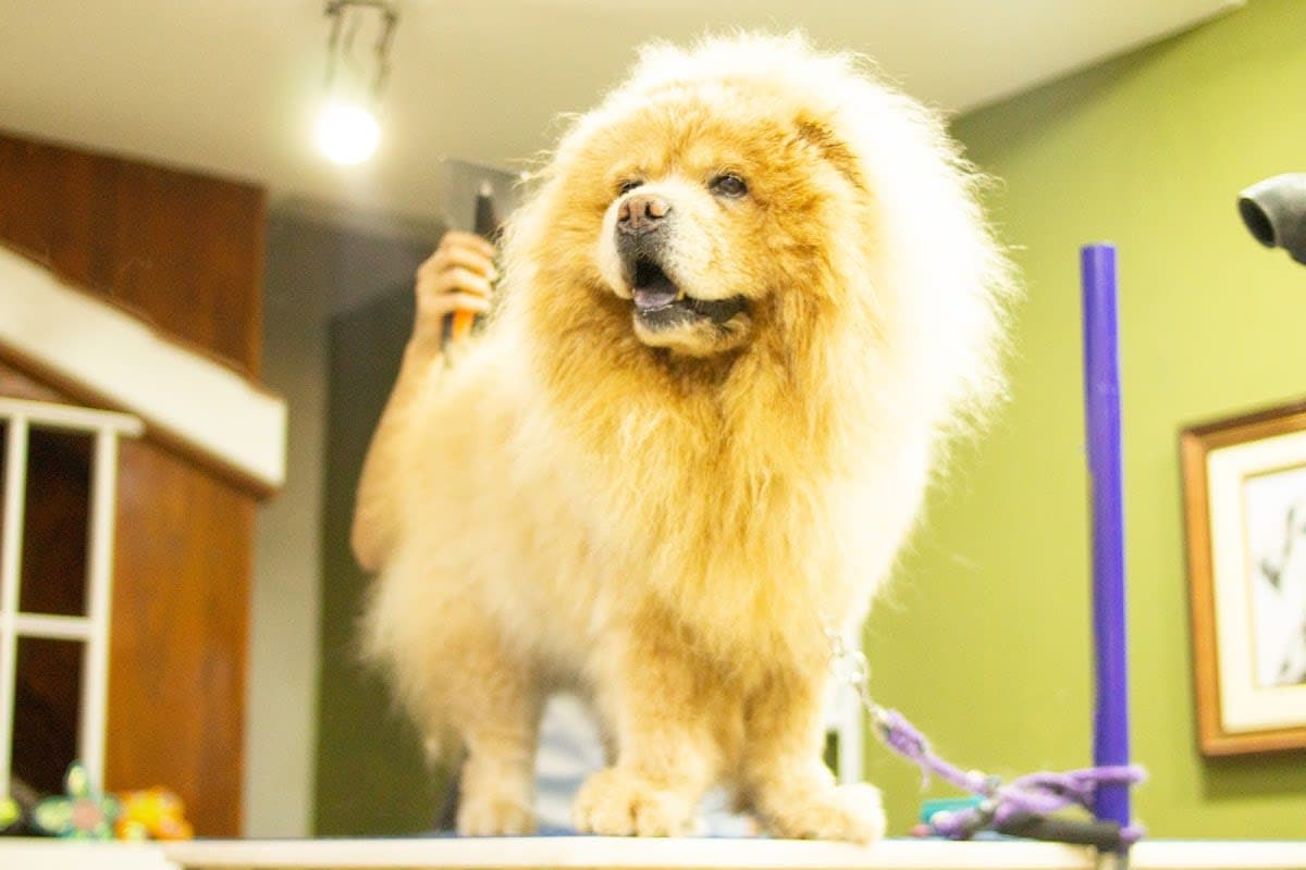 Nail Trim