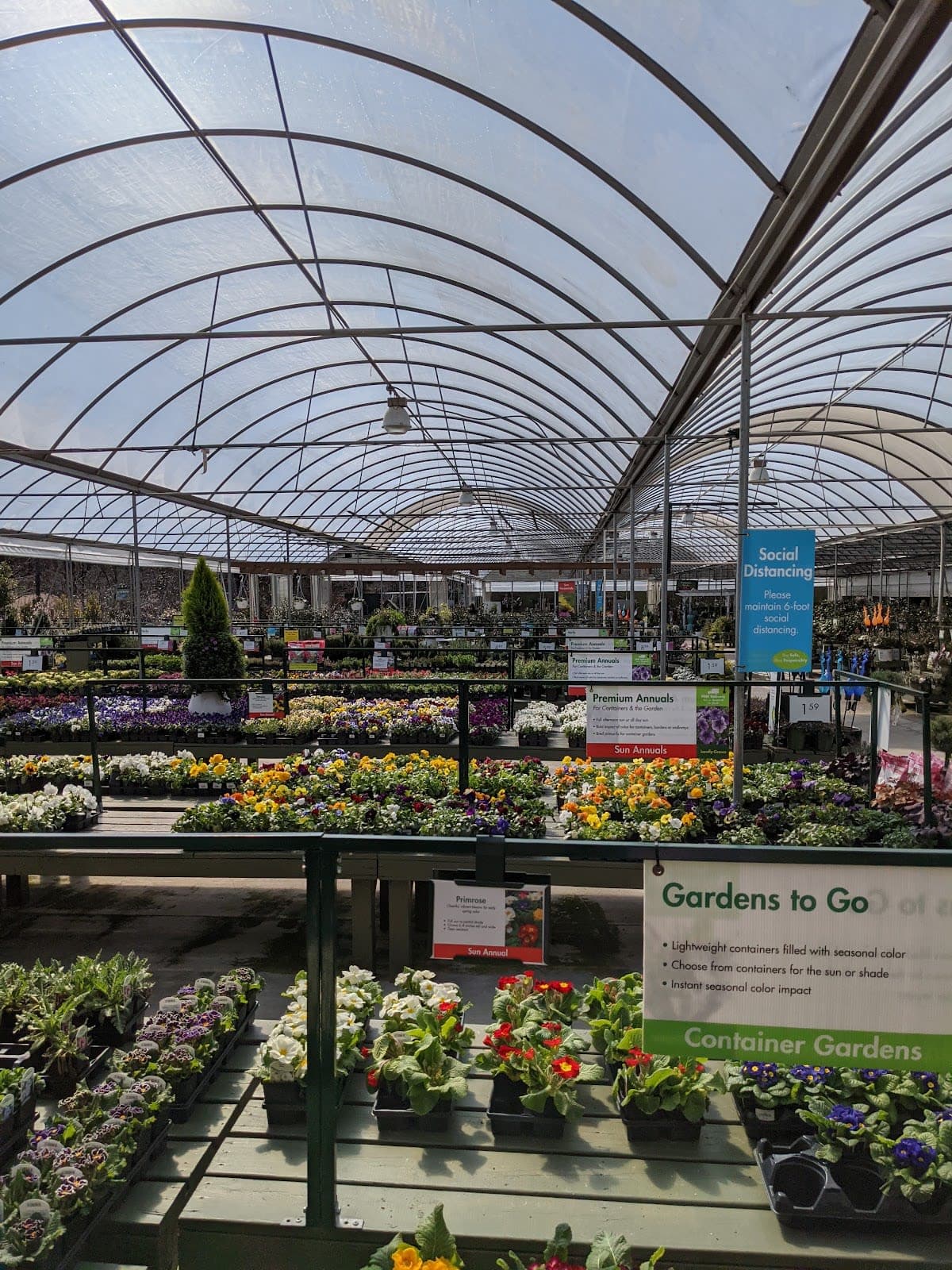 Pike Nurseries