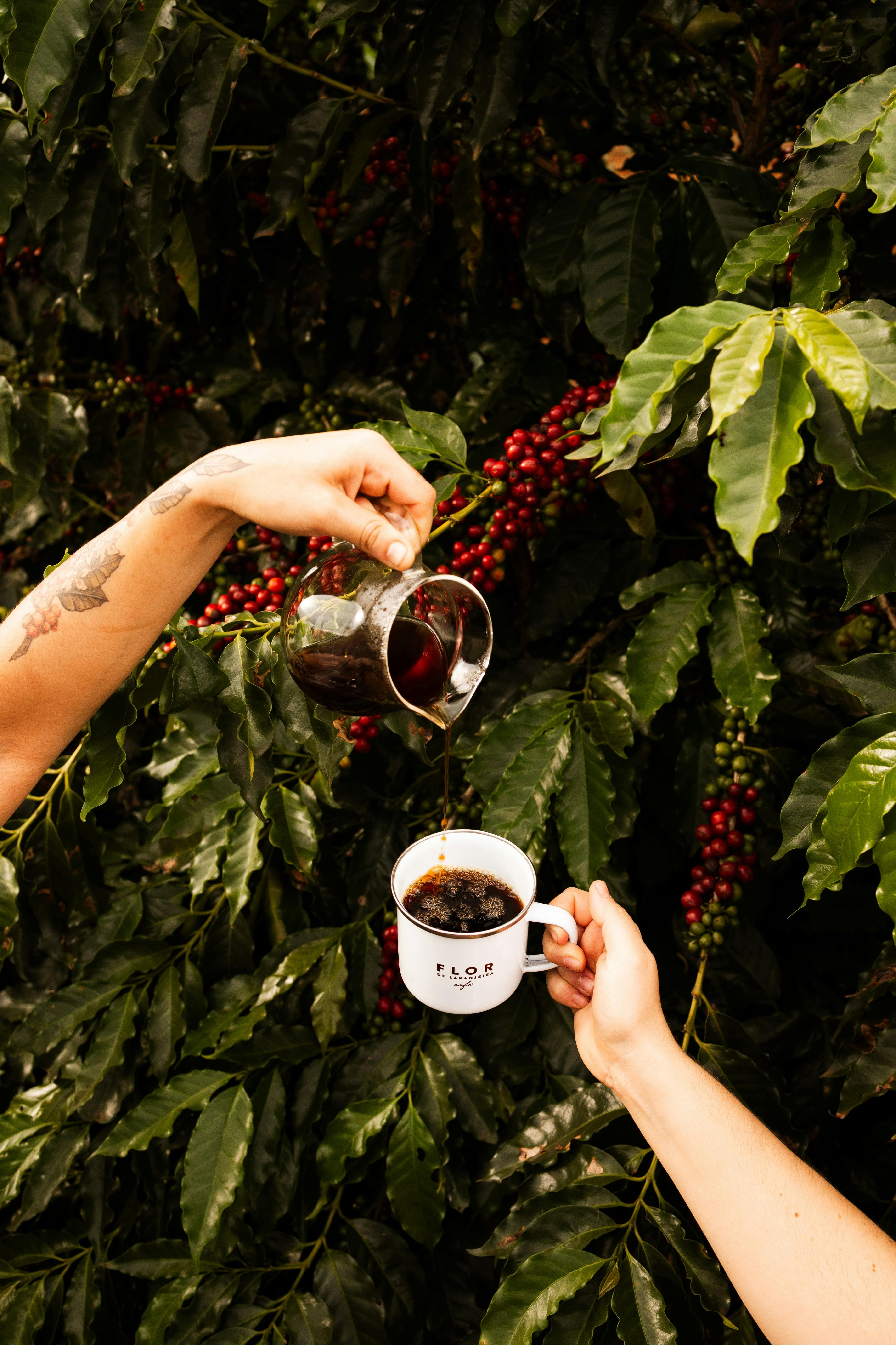 Roastery Tour