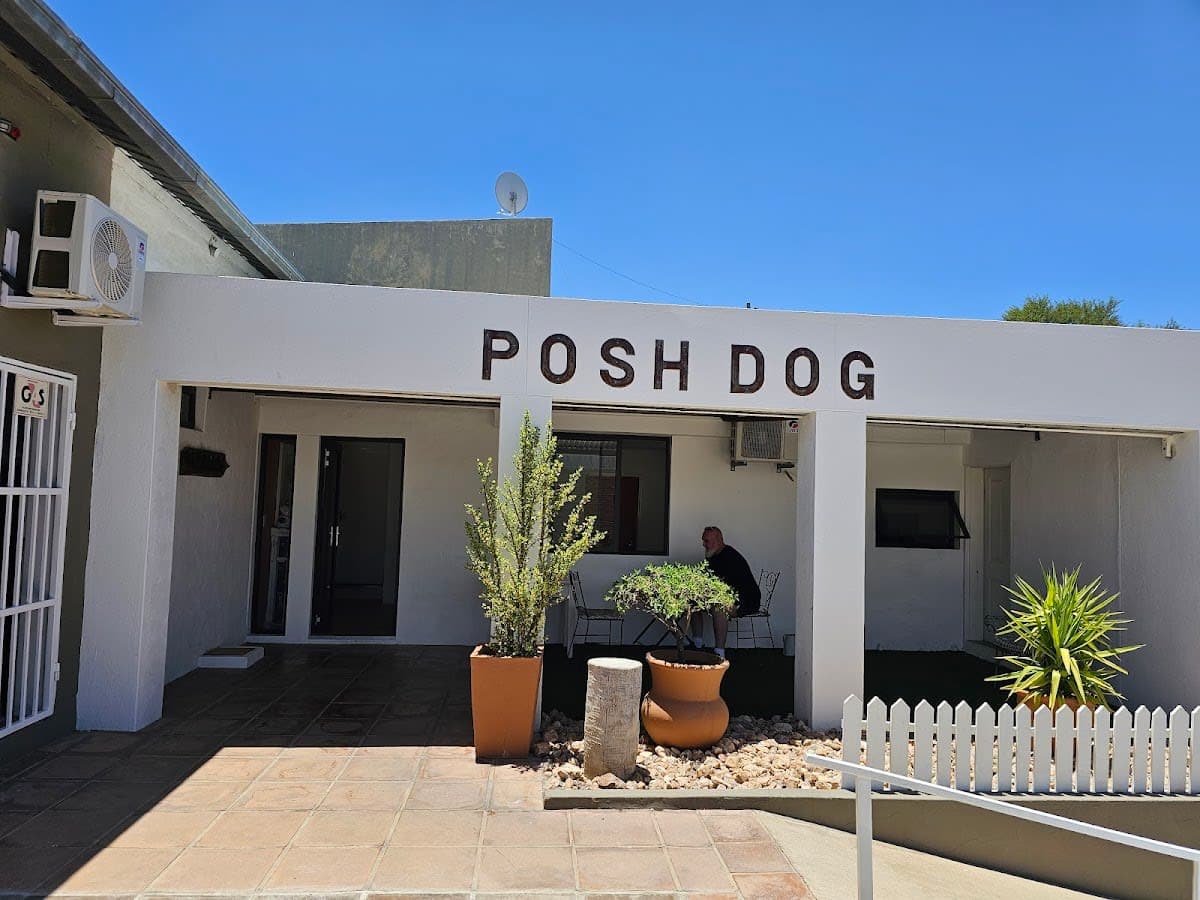 Dog Grooming