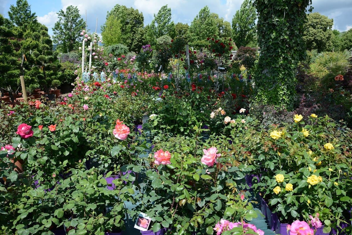Conseils jardinage
