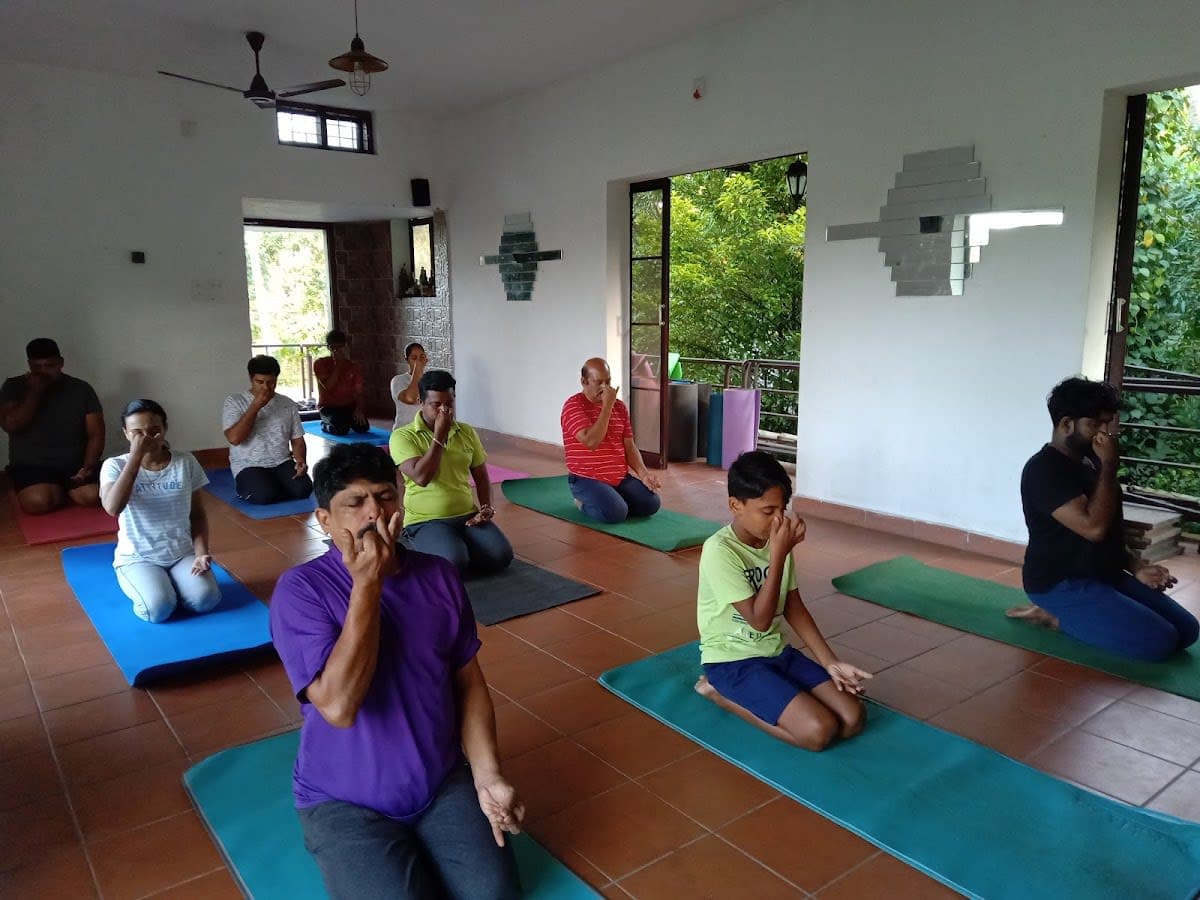 Vinyasa Flow