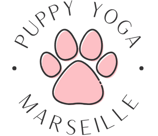 Vinyasa Flow