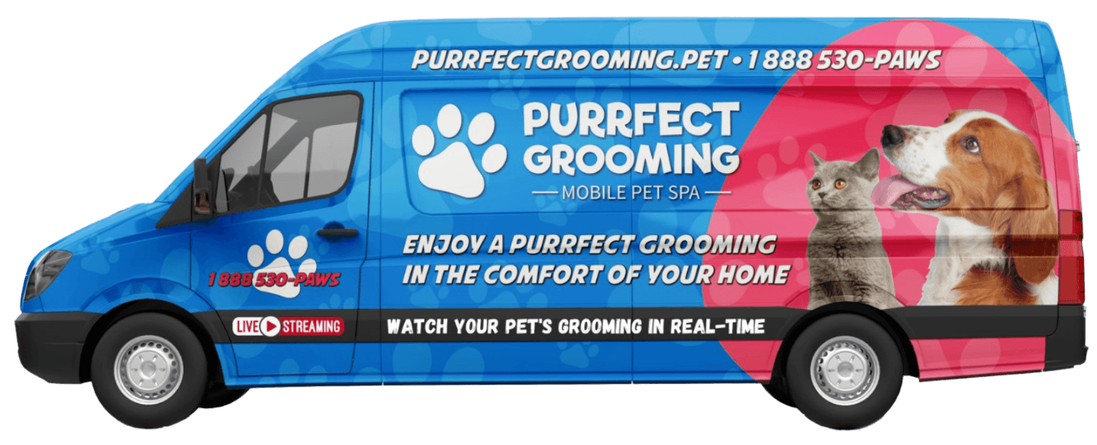 Nail Trim