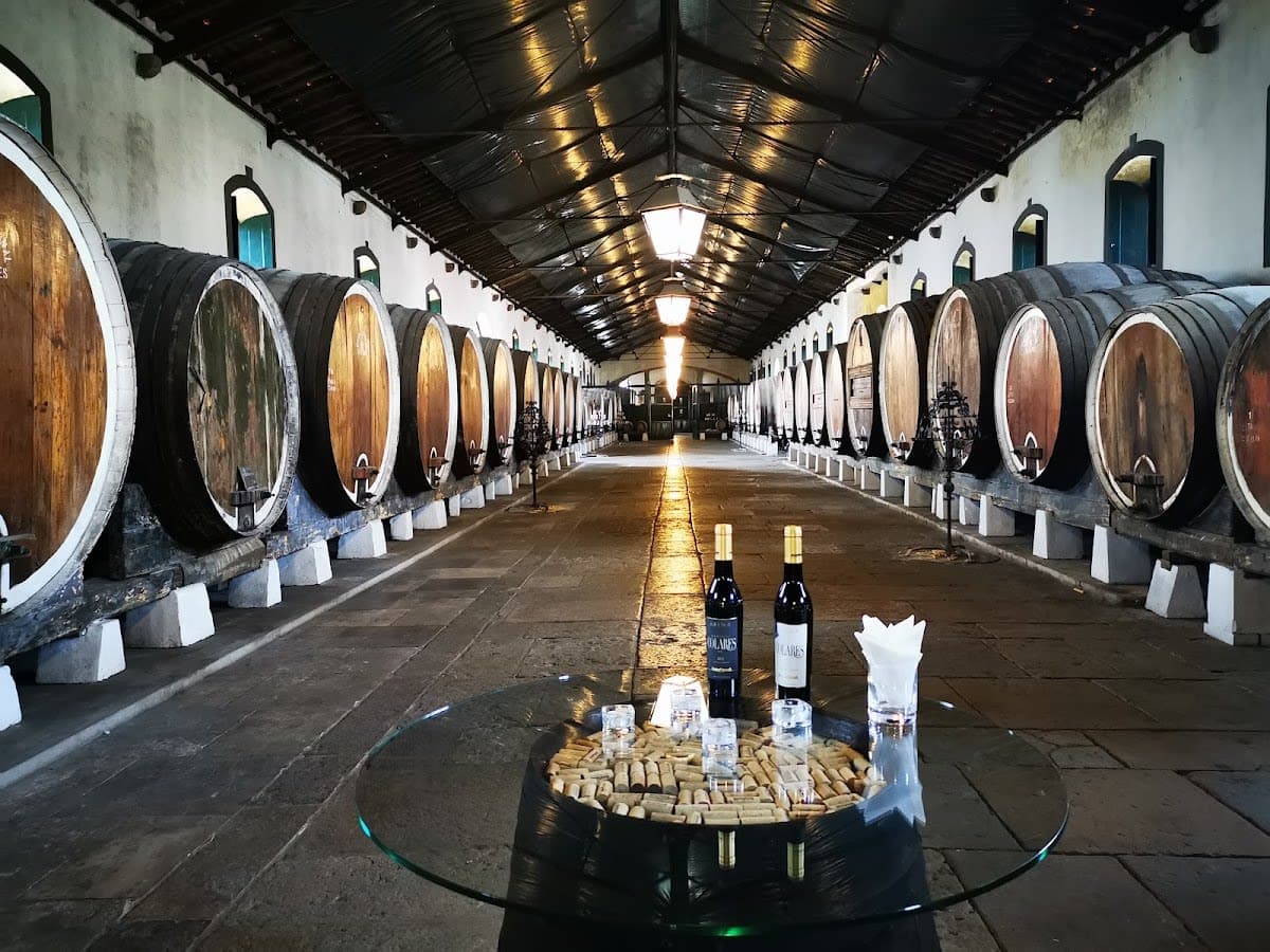 Wine Tasting