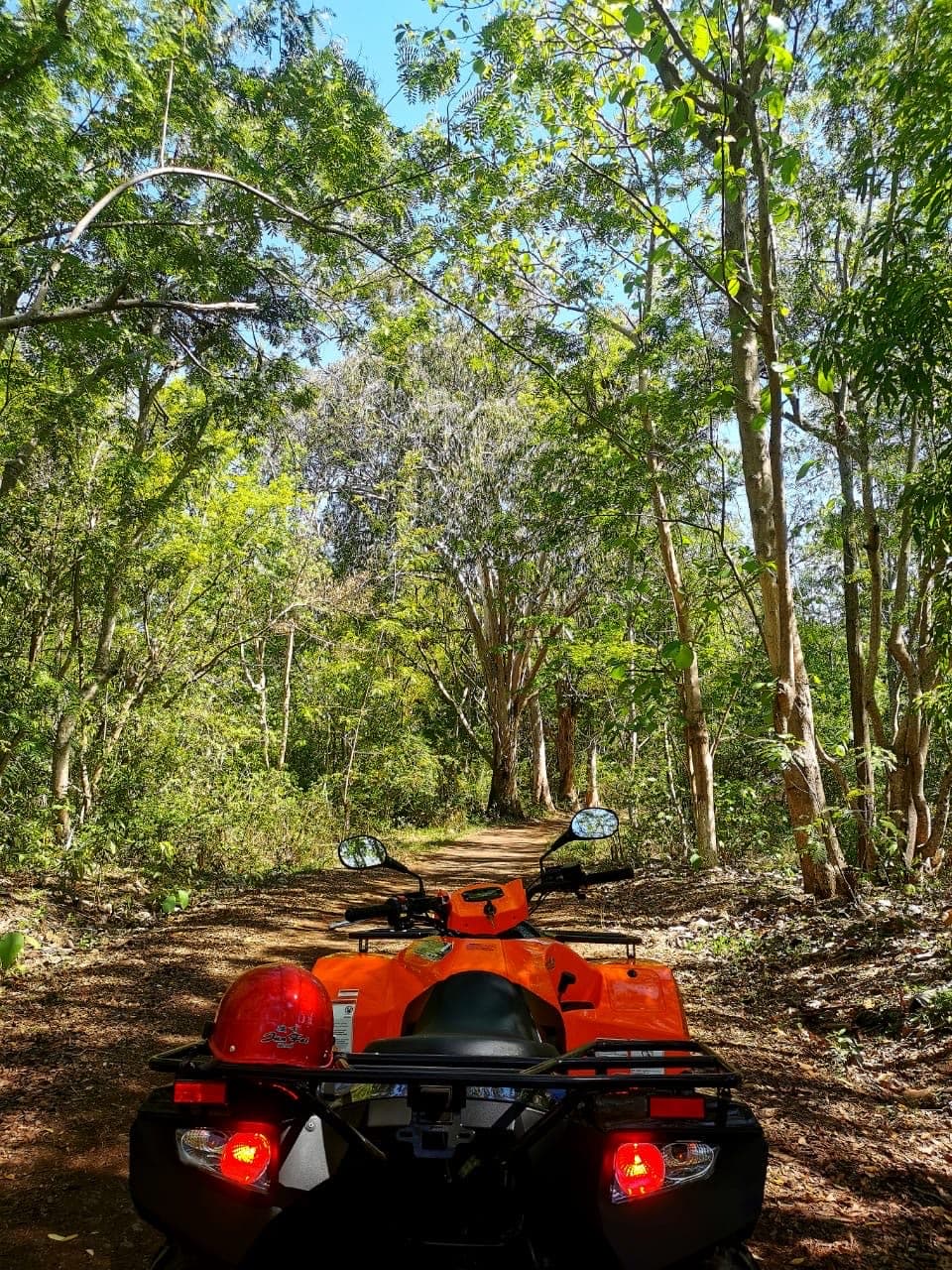 Quad Rides/Tours