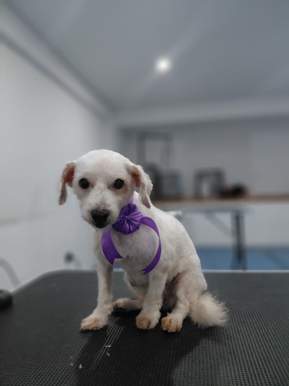Nail Trim