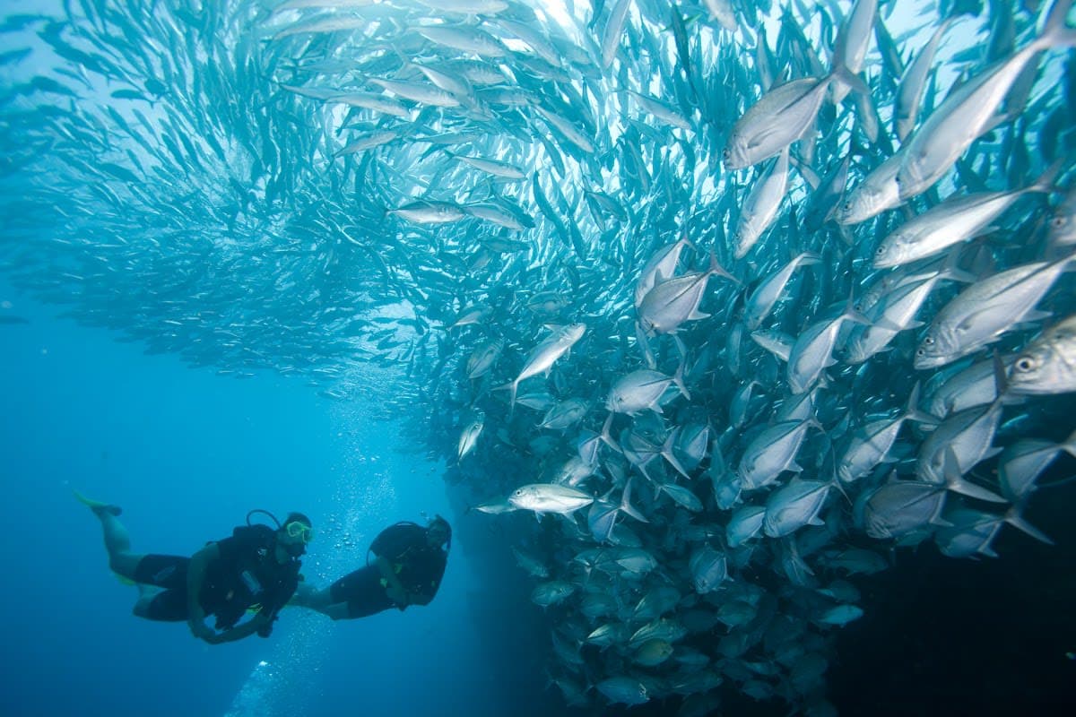 PADI Discover Scuba Diving
