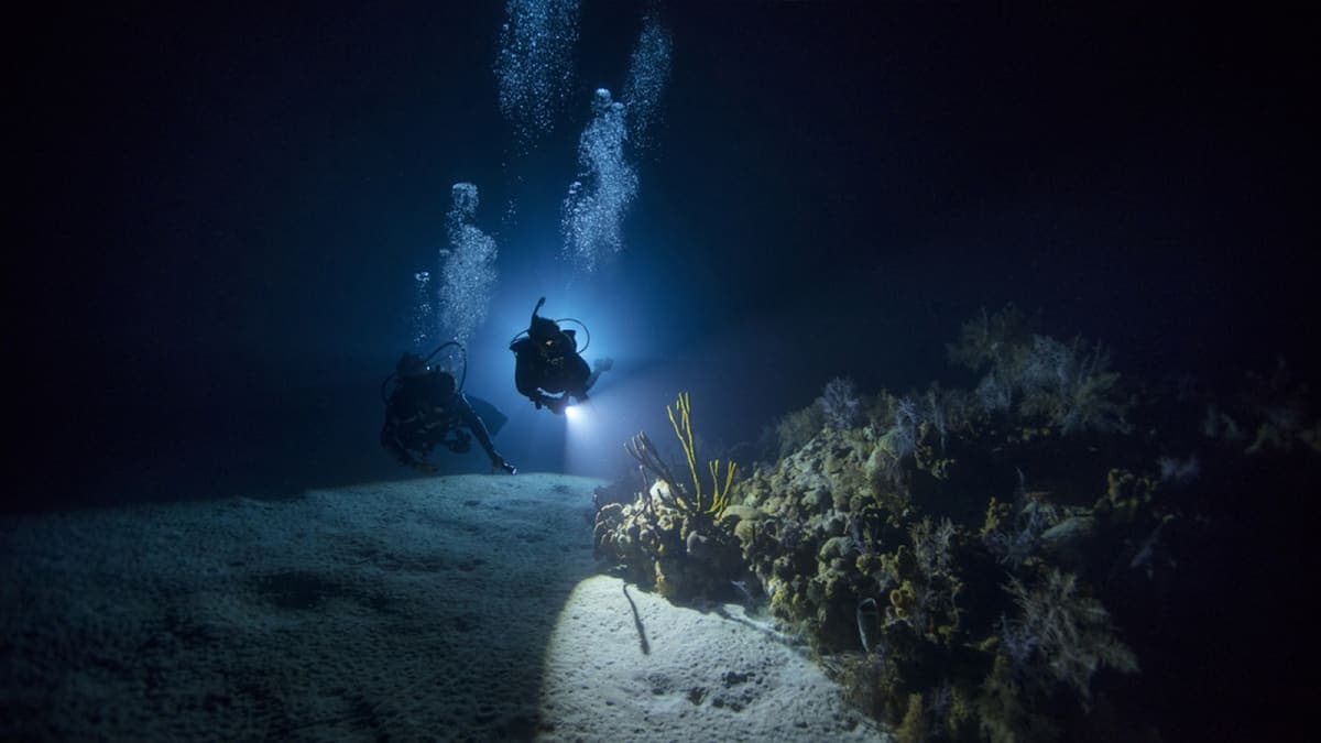 Divemaster Course