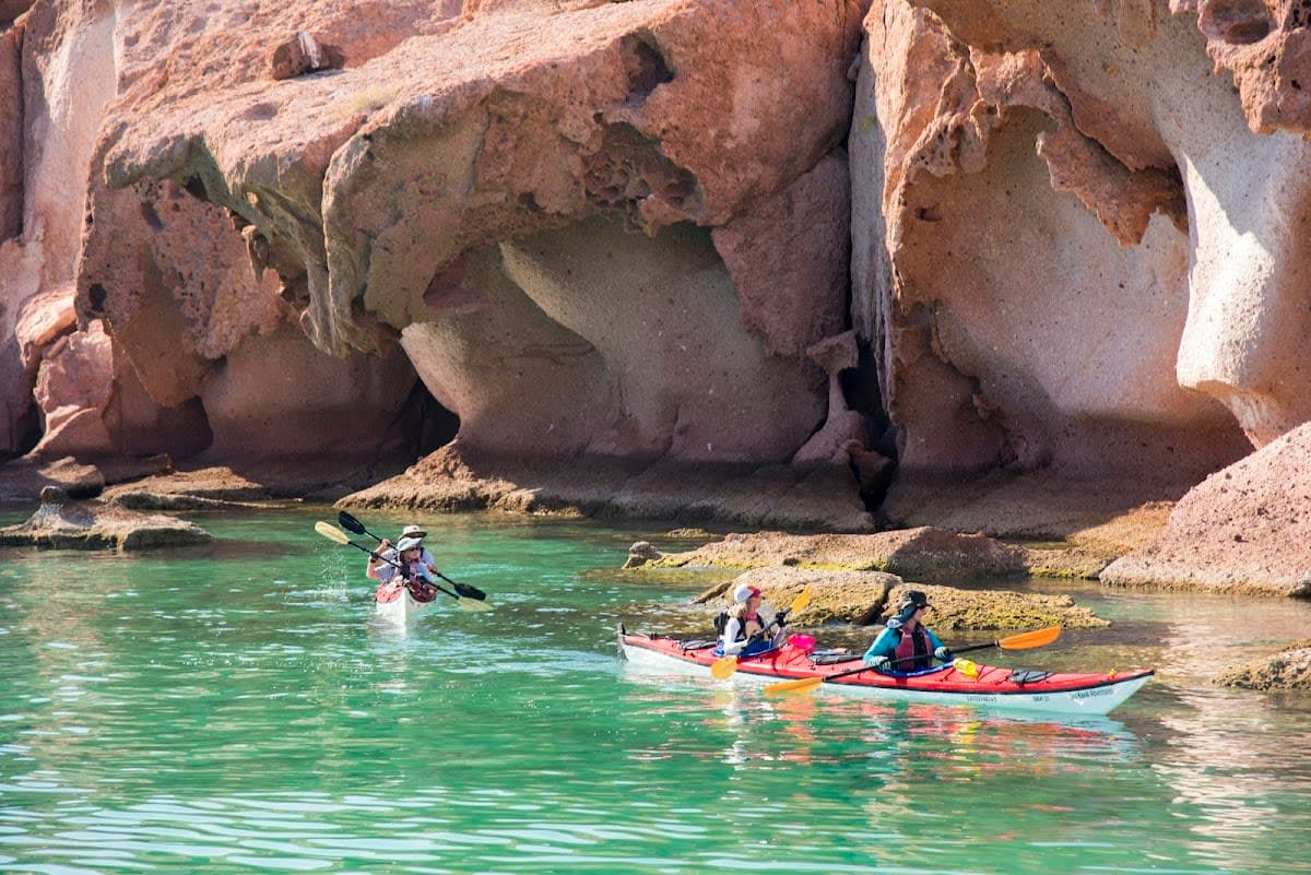 Isla Espiritu Santo Kayak Sojourn