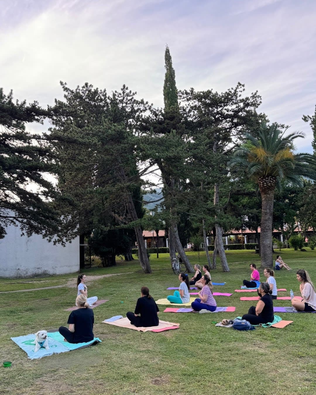 Power Vinyasa Yoga Class