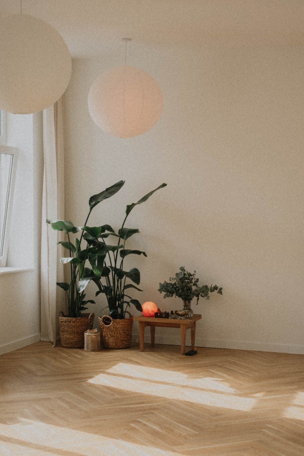 Vinyasa Flow