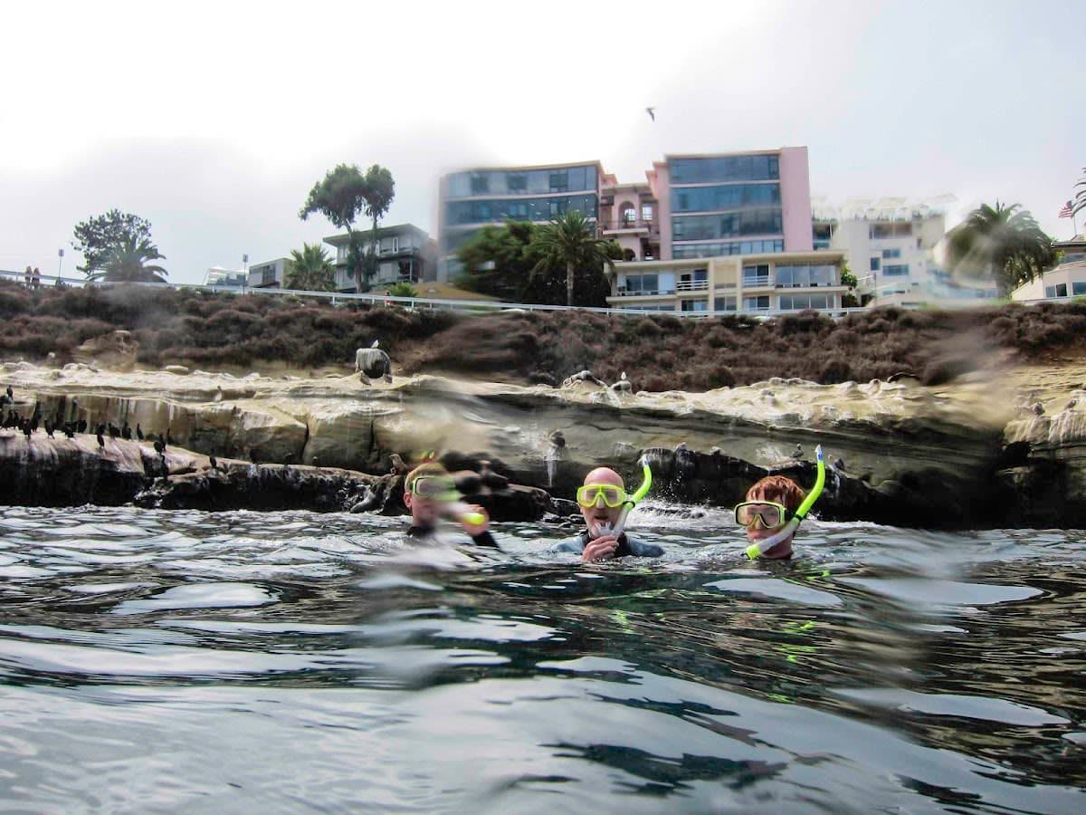 Scuba Certification Courses