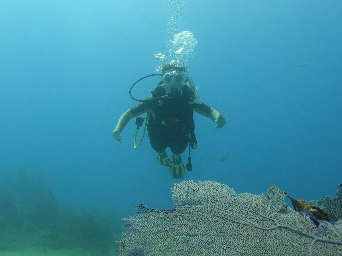 Freediving
