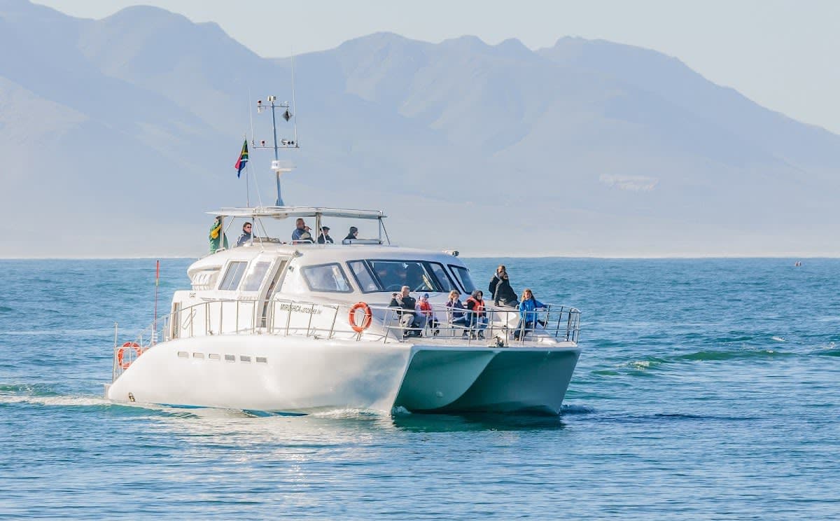 Whale Expedition SA
