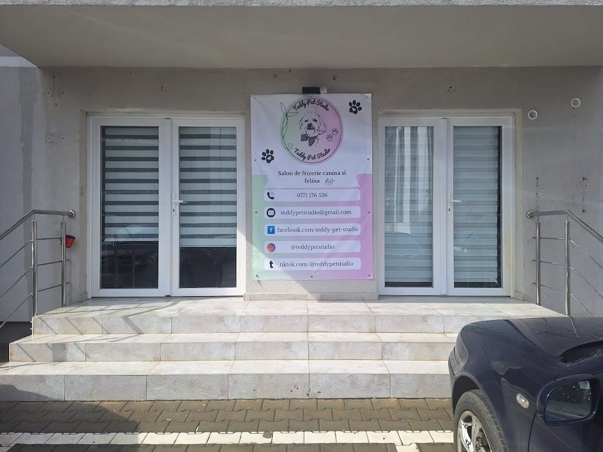 Îngrijire câini