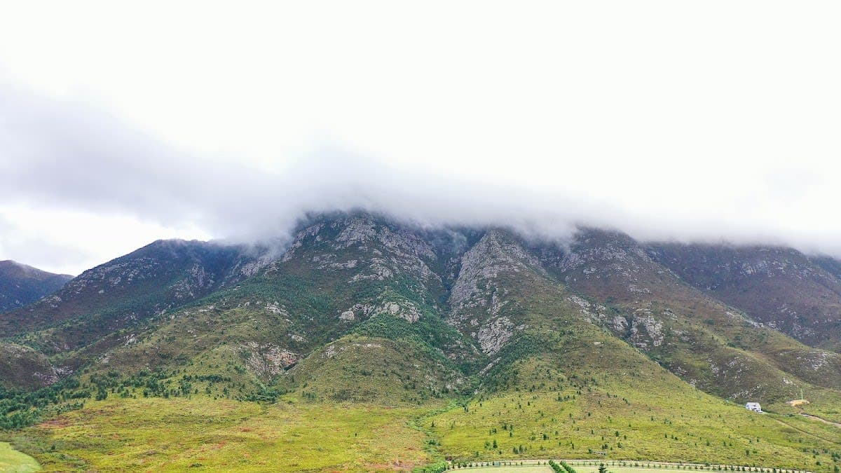 Hermanus Camino 5-Day Walking Tour