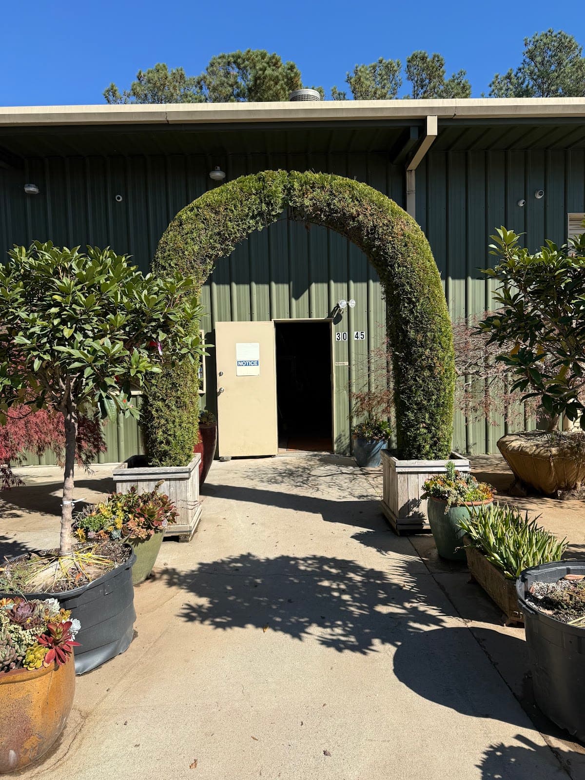 Topiary Courtyard
