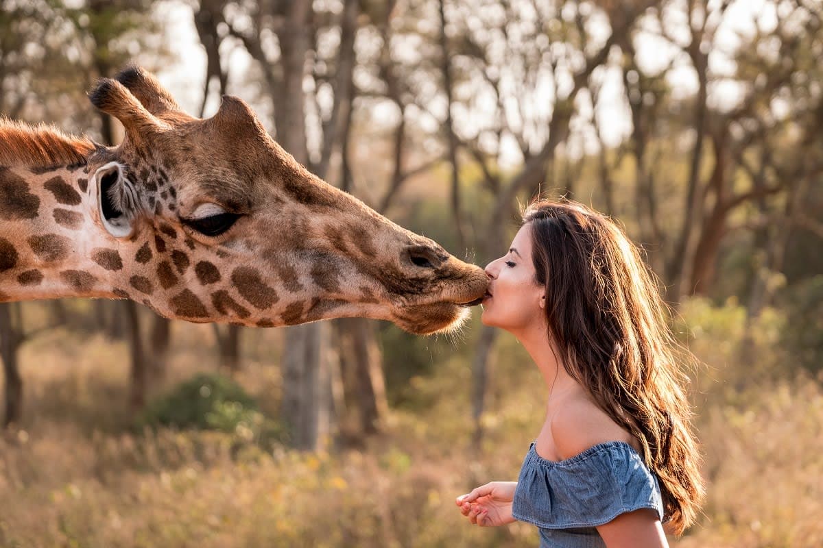 Ultimate Africa Safaris