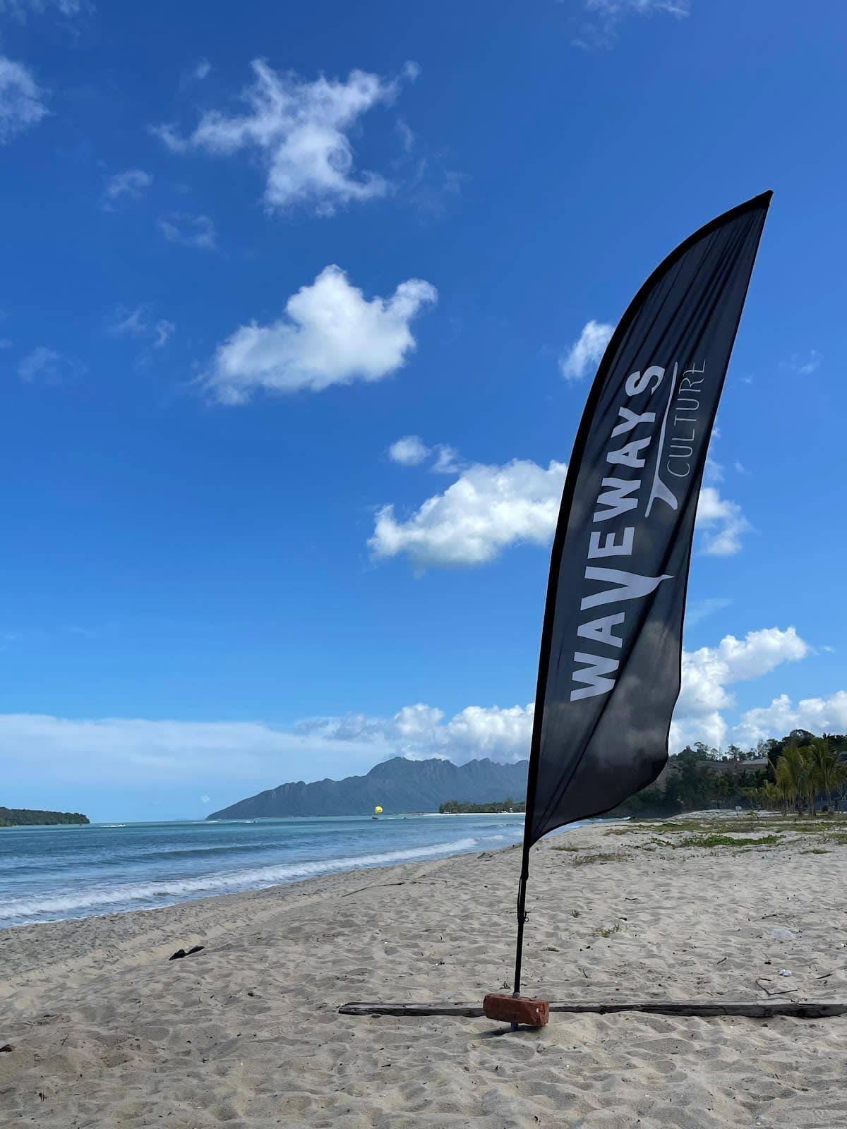 Surf School