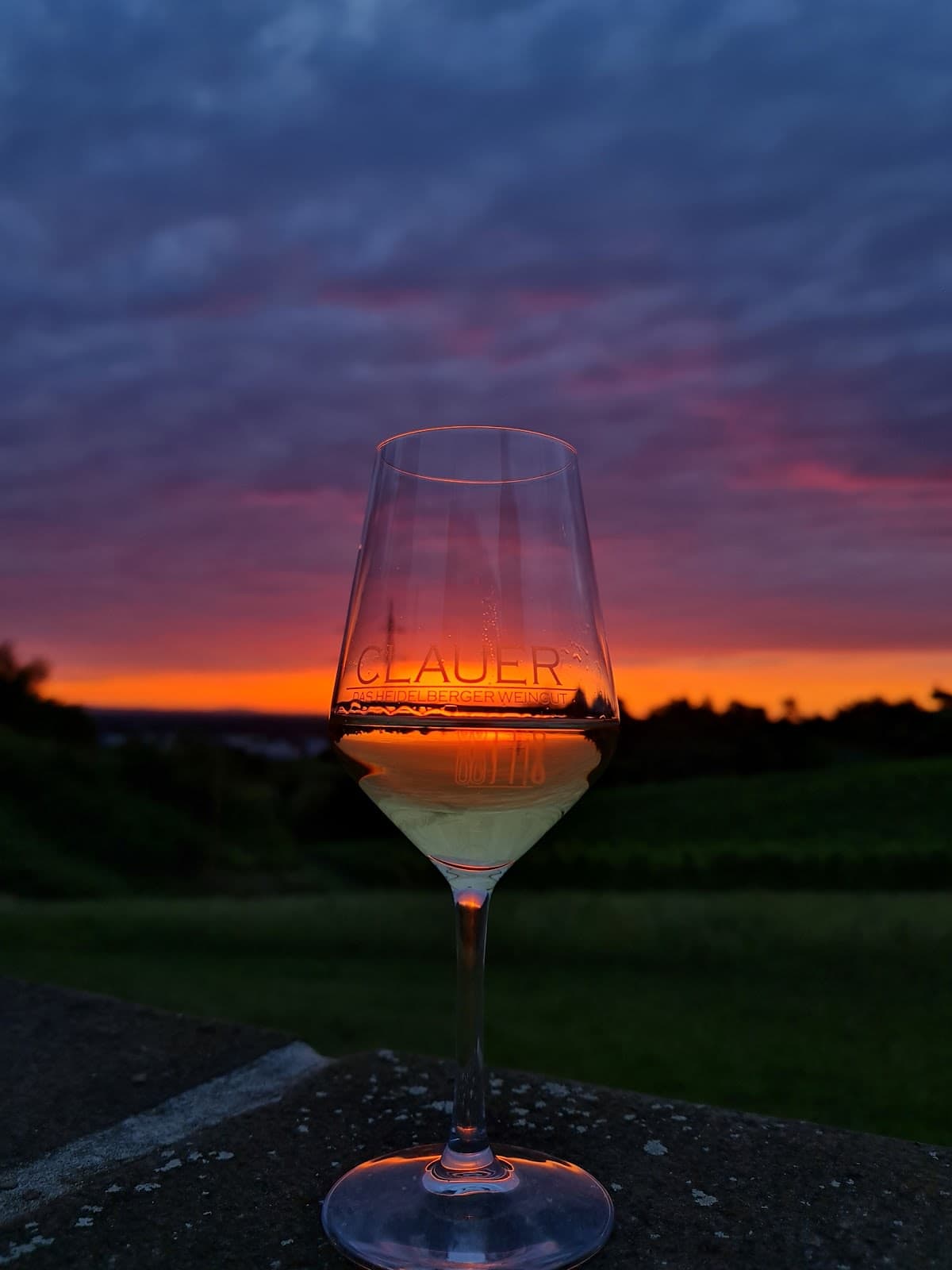 Weinproben