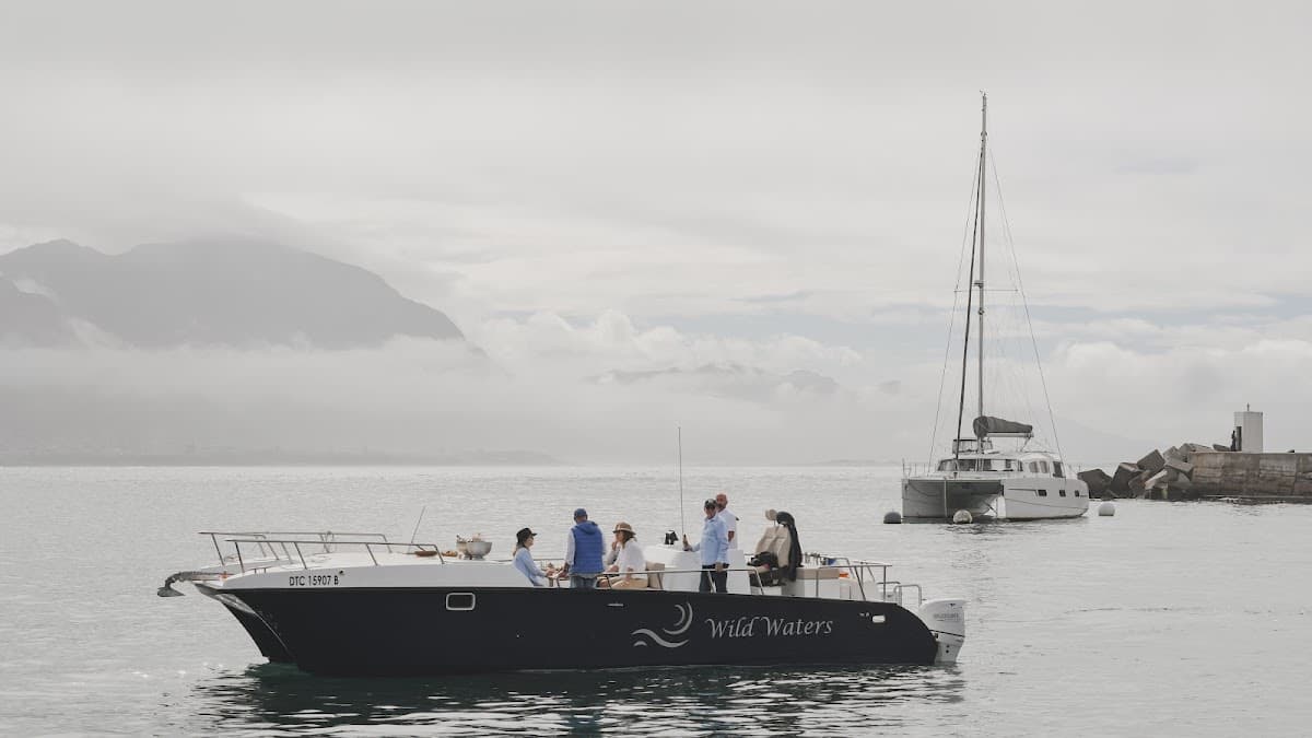 Child Cruise (Under 16)