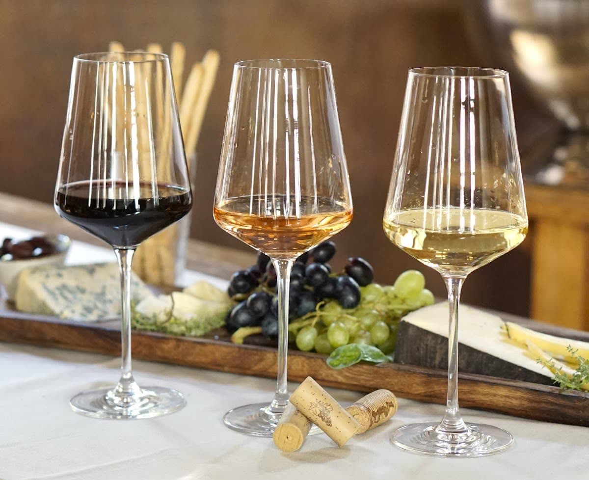 Weinprobe Rebstock