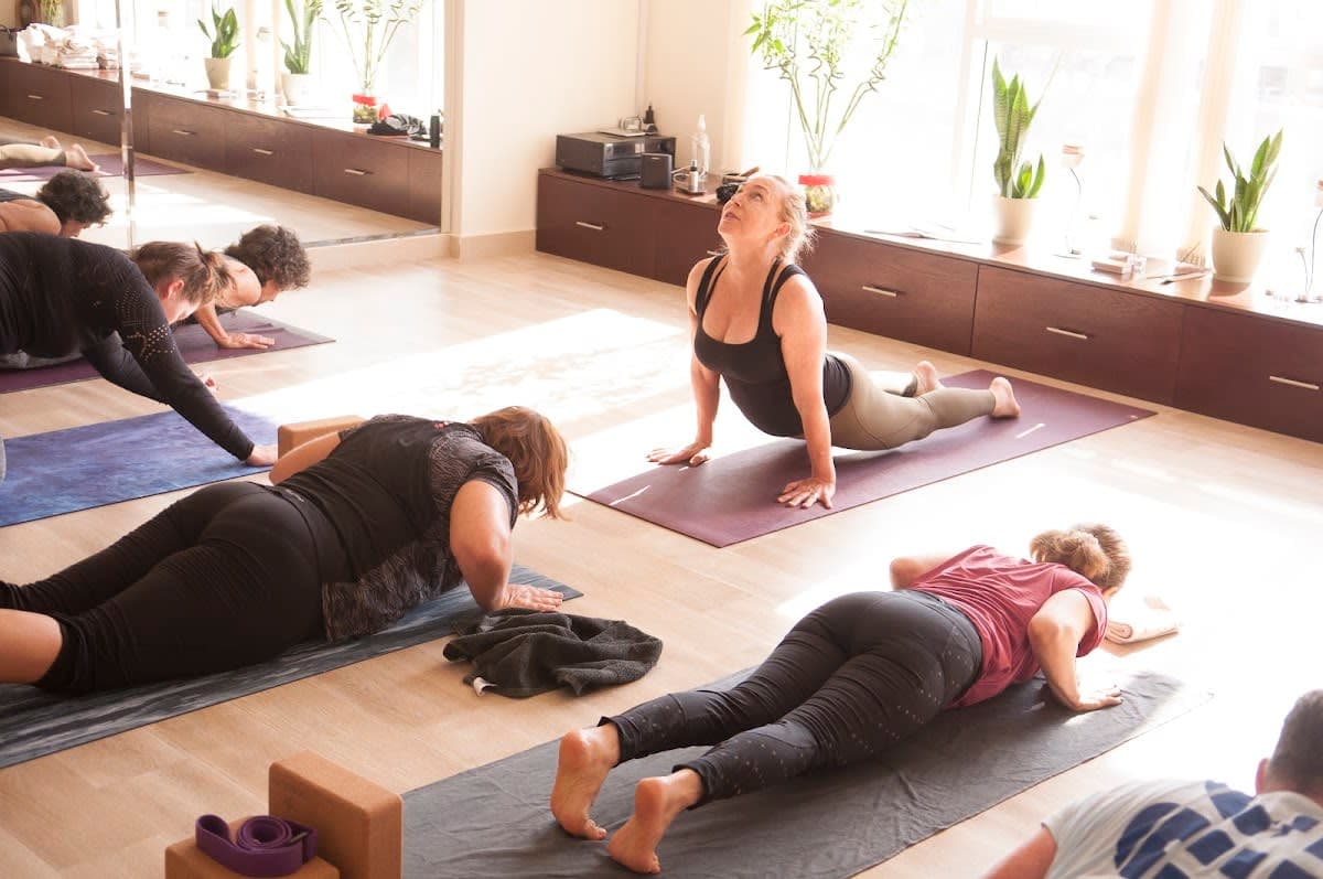 Group Yoga Classes