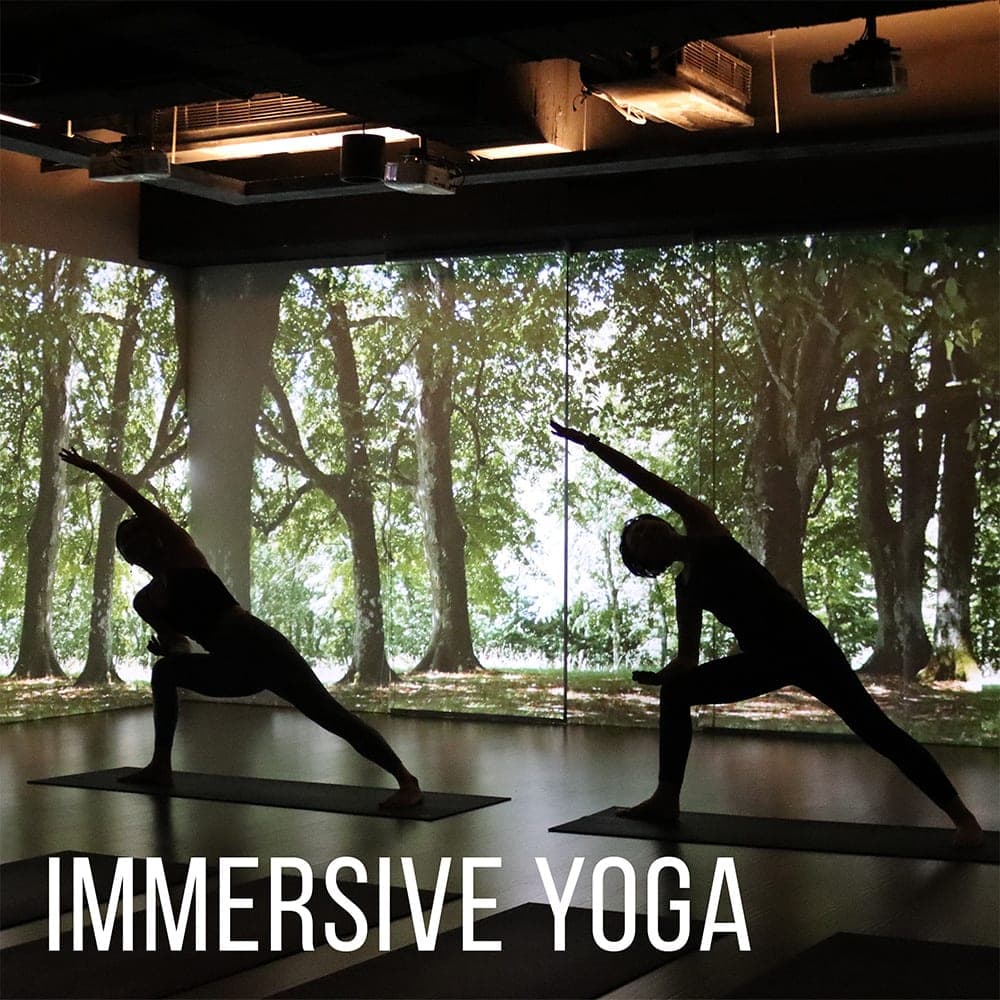 Vinyasa Flow