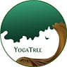 Vinyasa Flow