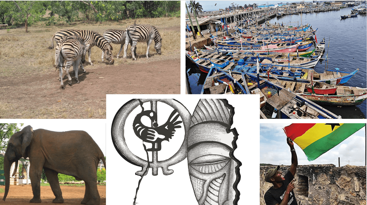 3 Days Elephant Safari at Mole Park with round trip flights