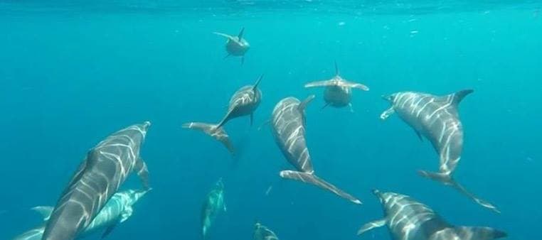Sportfishing Adventure