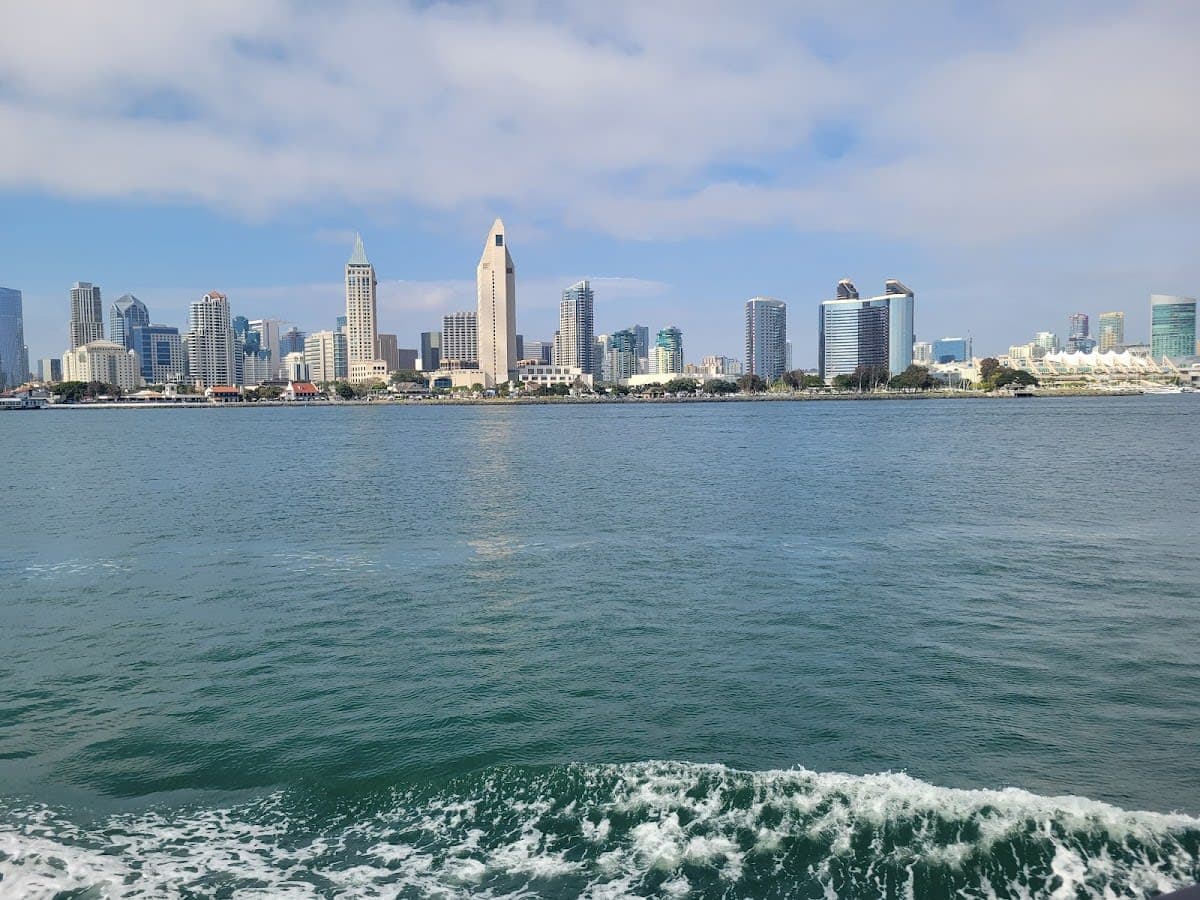 Whale & Dolphin Watching Adventure