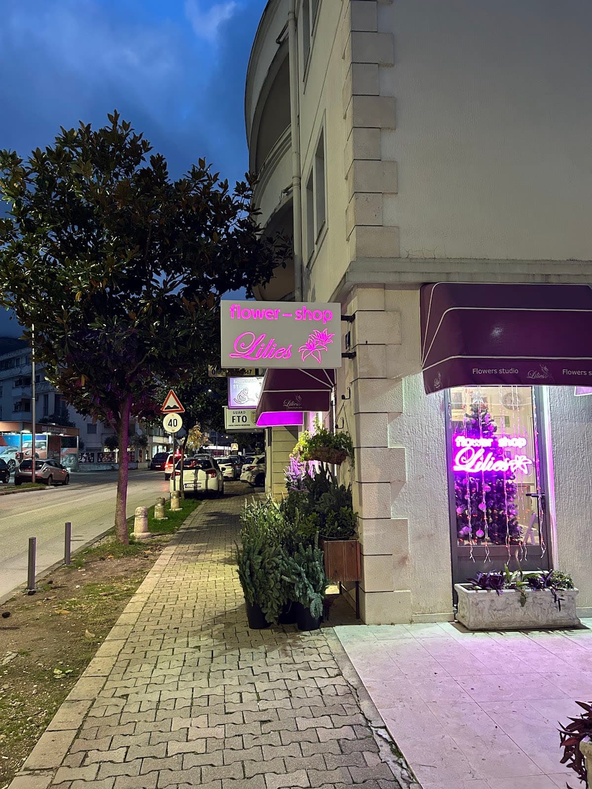 Flower shop Lilies Cvjecara