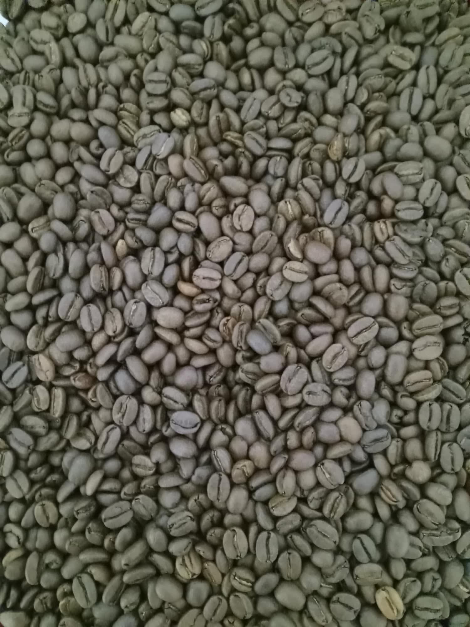 Barista Class