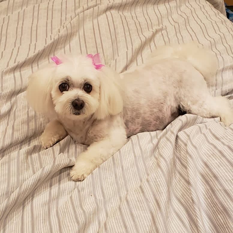 Nail Trim