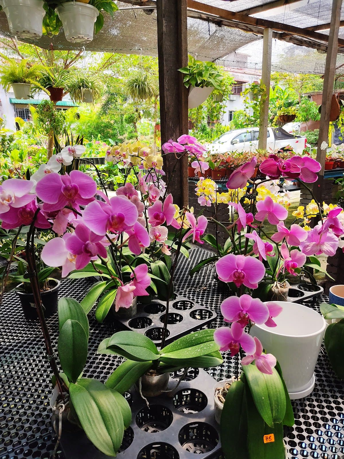 Landscape Accessories Supplies