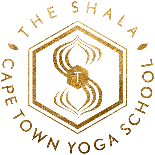 Vinyasa Flow