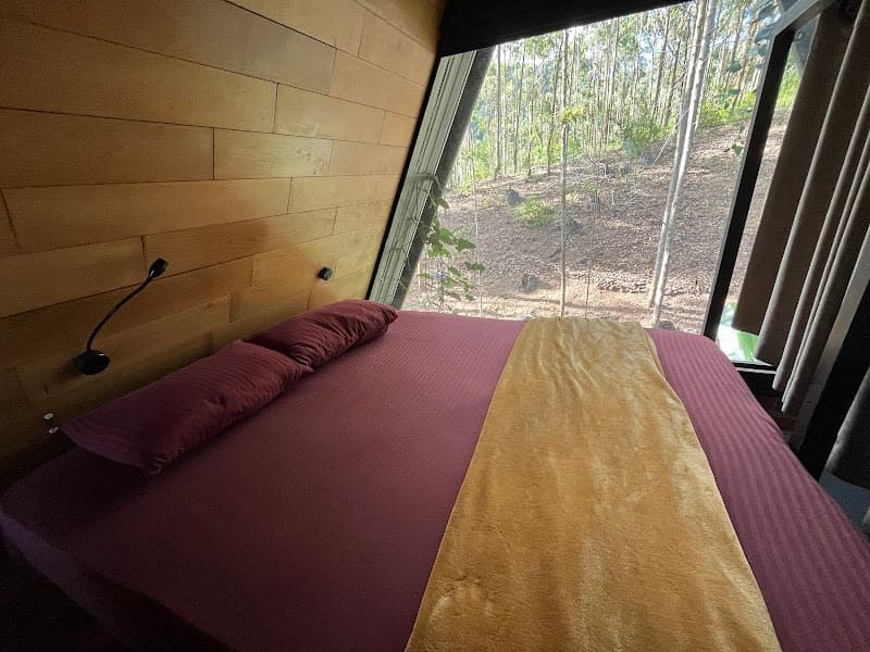 Wild Bee Hostel