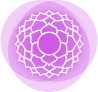 The Pink Lotus Academia- Yoga, Music and Dance