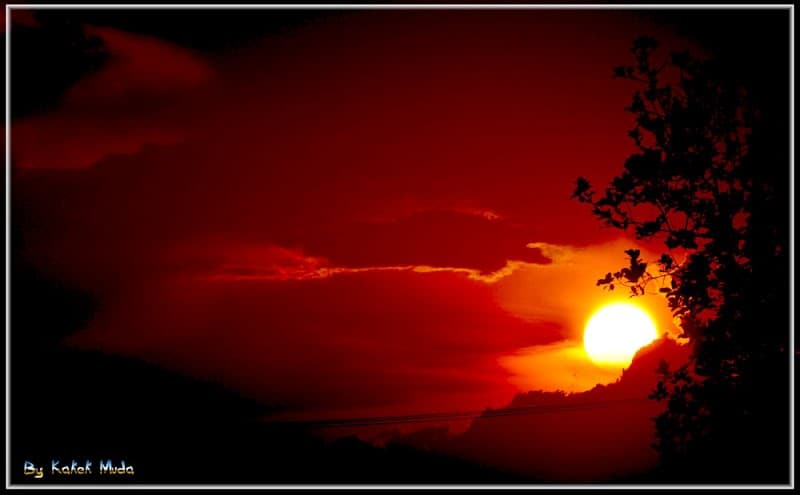 Ella Sunrise