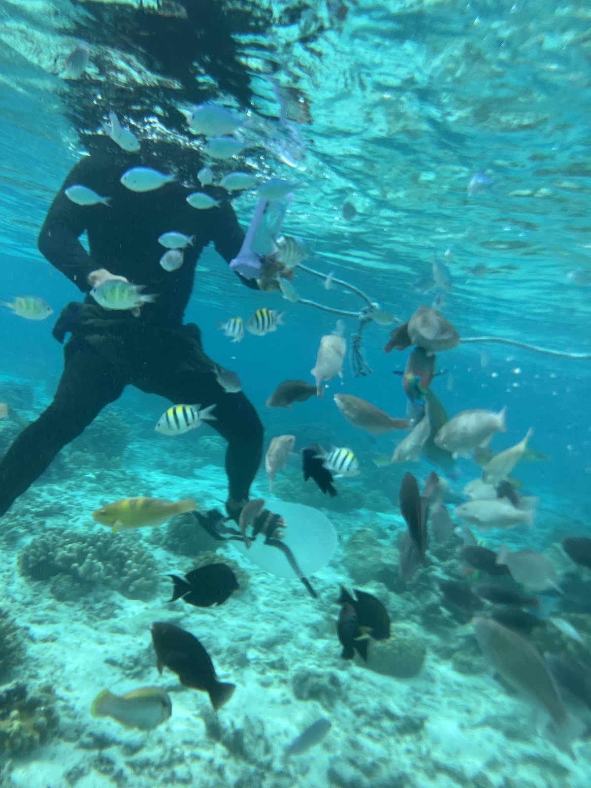 Island Hopping Tour