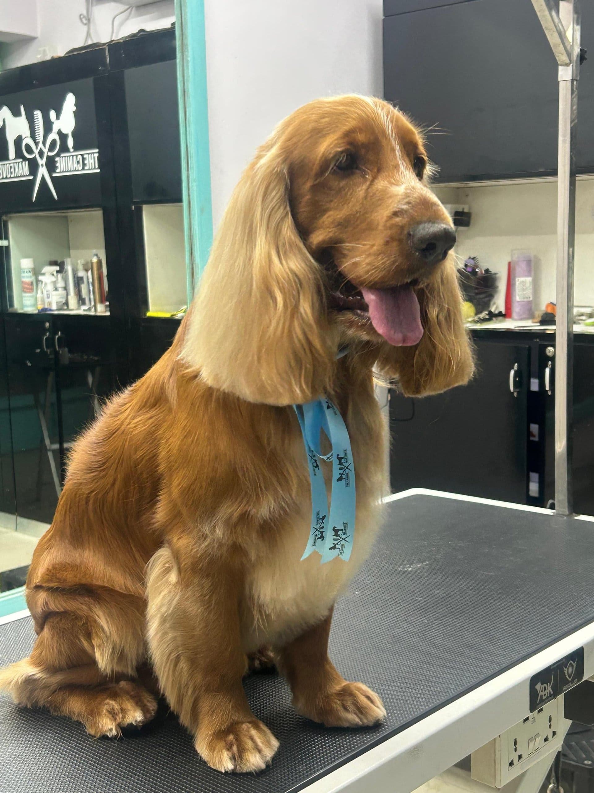 Nail Trim