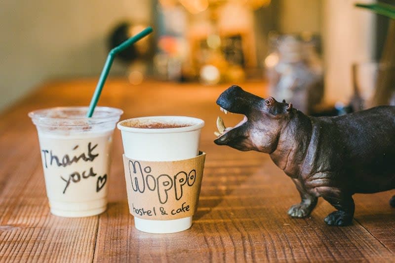 HIPPO Hostel & Cafe Bar